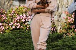 莎拉波娃赛事官方发布赛事规则更新新规，日本队争议不断！的简单介绍